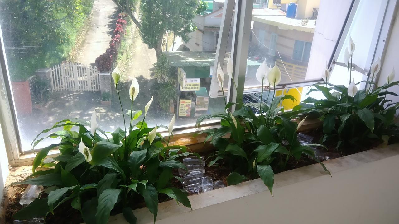 A Dong Hotel 달랏 외부 사진